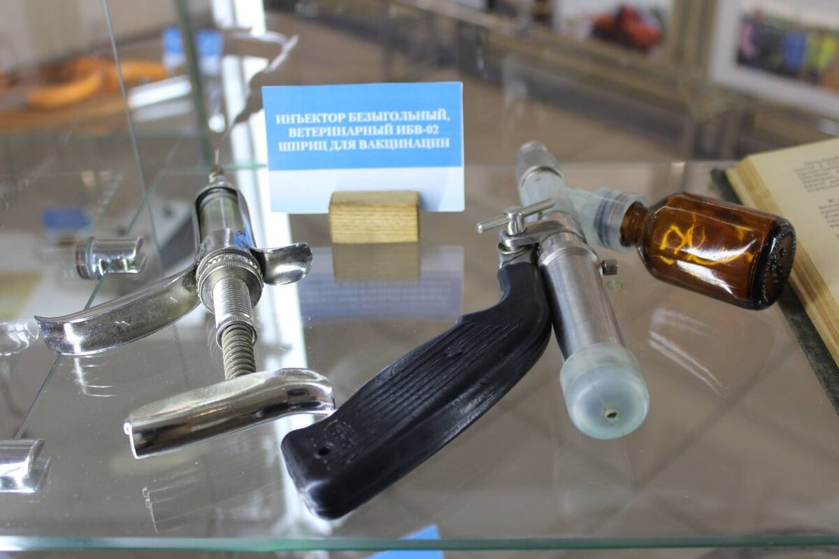 Фото: vet.lenobl.ru