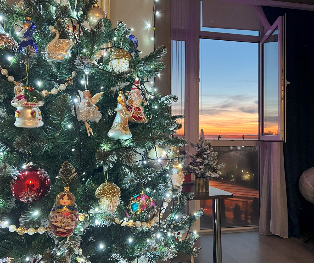 моя домашняя ёлочка