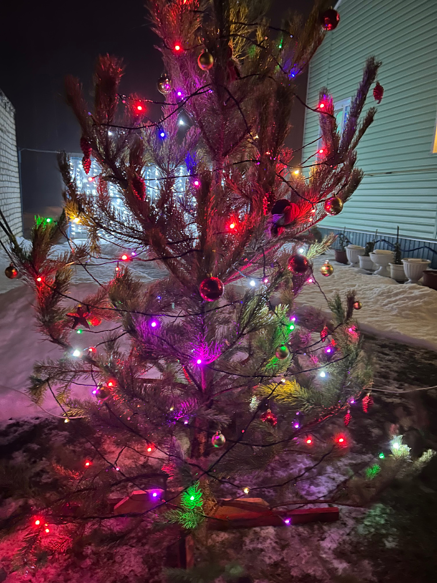 Фото автора