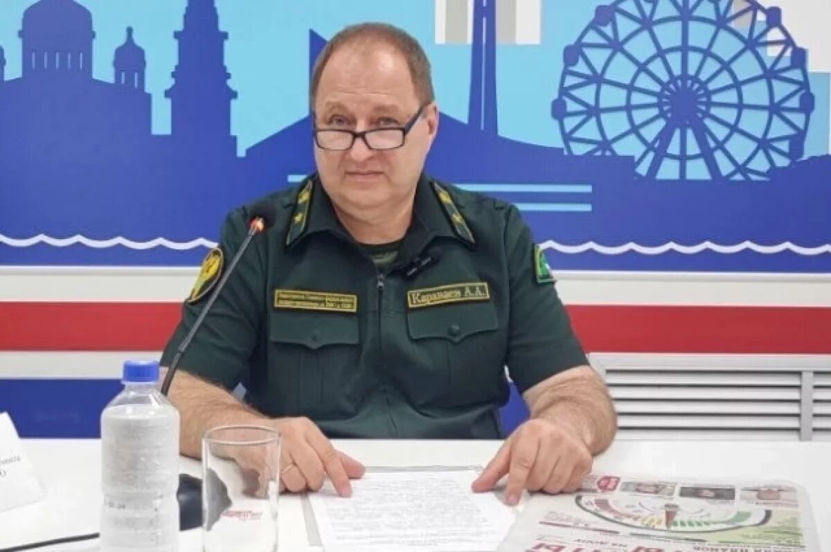    Более 7,7 тыс. га лесов восстановлено в субъектах ЮФО и СКФО в 2024 году