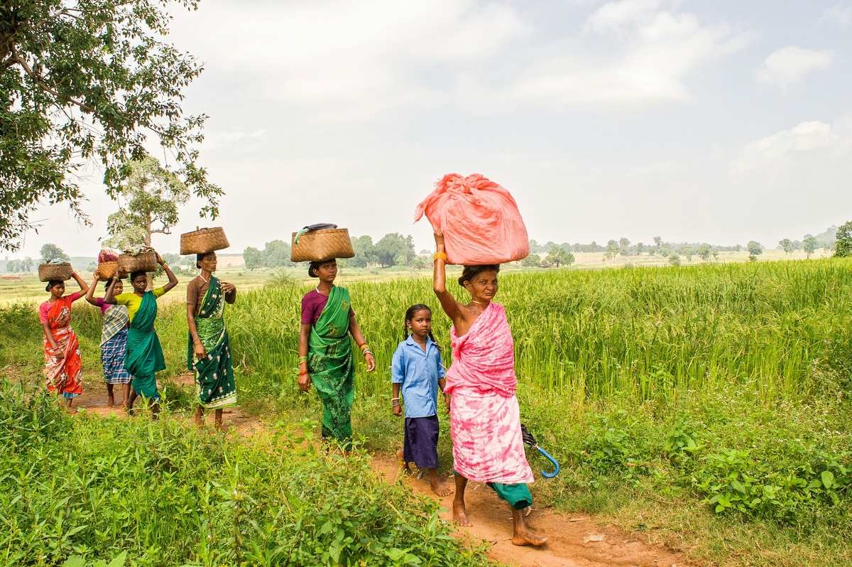 Фото с бесплатного фотостока https://unsplash.com, автор Wietse Jongsma