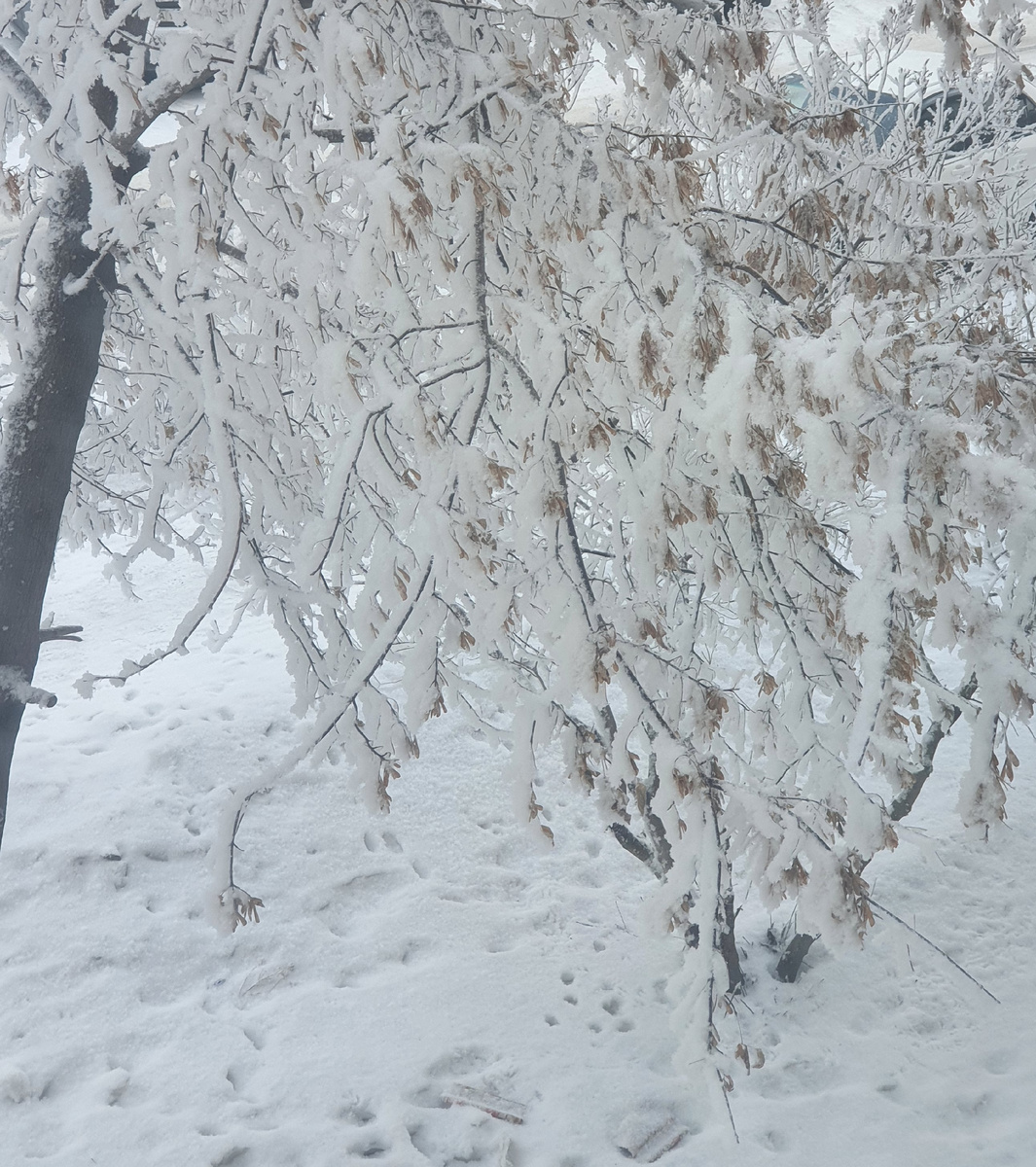 фото личное