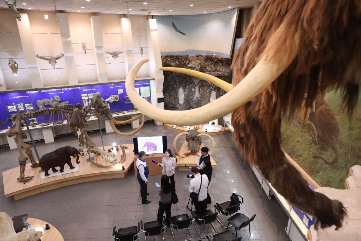 Мичил Яковлев/vk.com/svfuniver