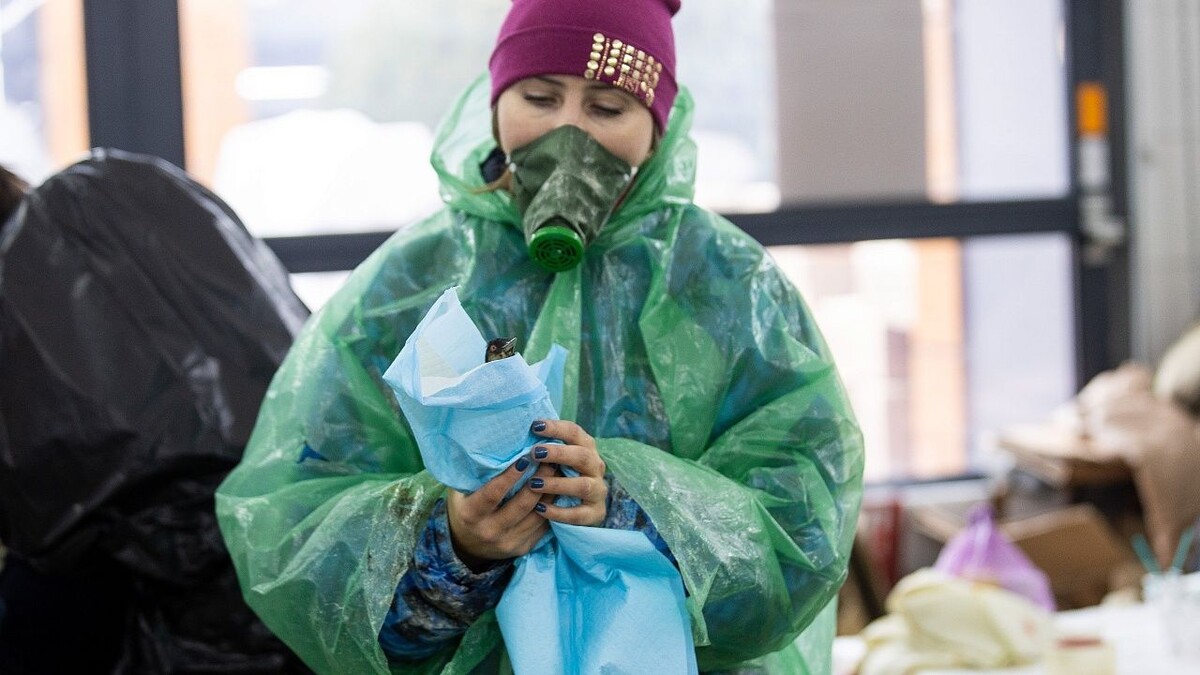    Фото: t.me/opershtab23