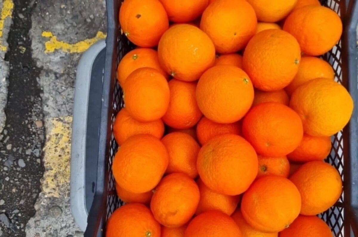    В Новороссийск привезли около 185 тонн зараженных апельсинов