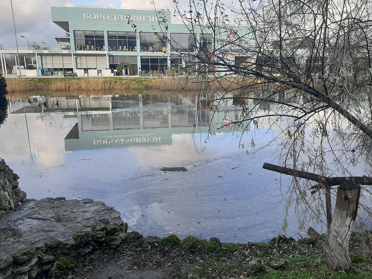 Фото 23 декабря 2024 года, мазут попал в Анапку