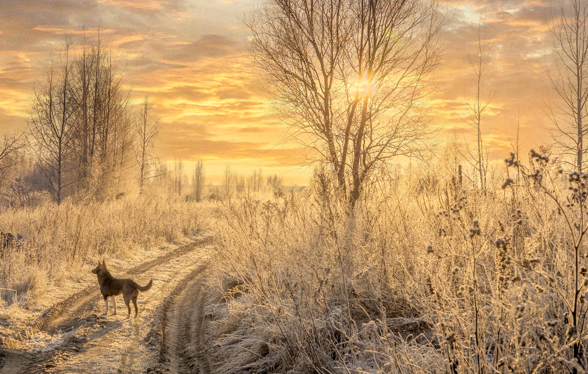 Sergey Metelitsa/Global Look Press