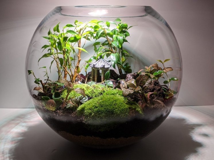     фото: Дзен канал DIVAN.RU