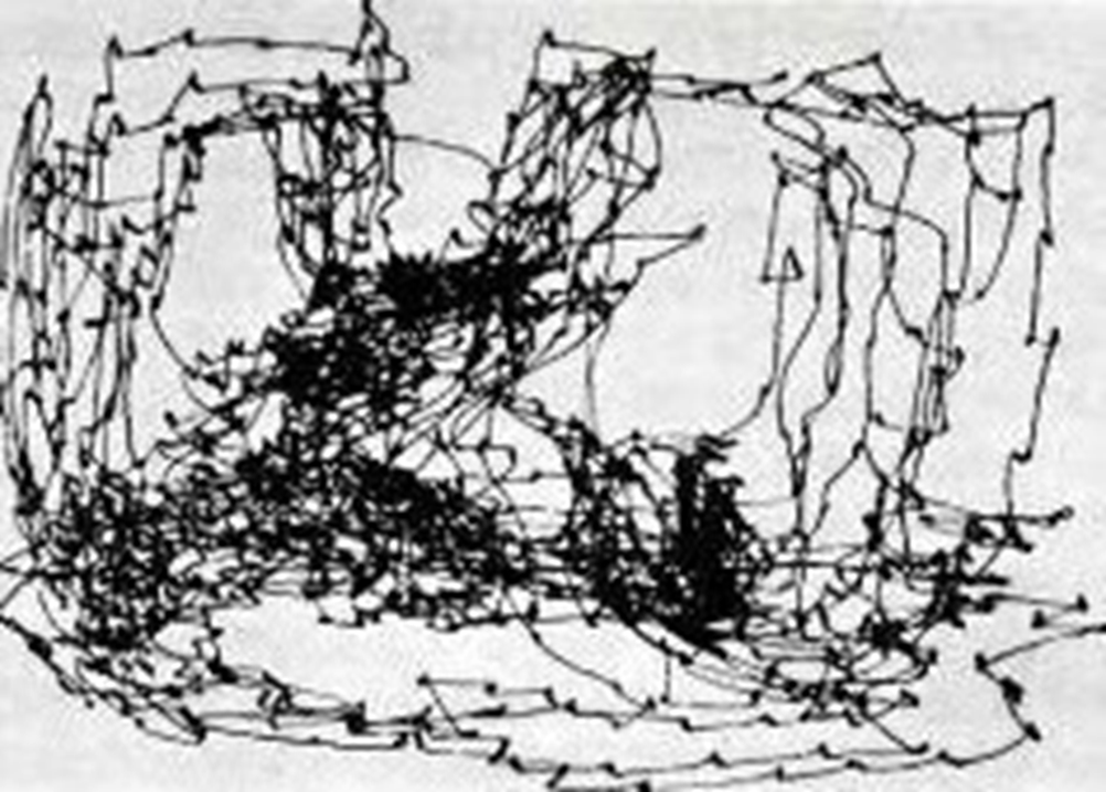 Источник http://www.k2x2.info/biologija/glaz_mozg_zrenie/p6.php 