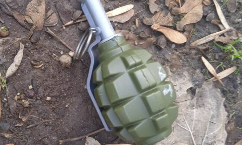    Фото t.me/rosgvard_krasnodar