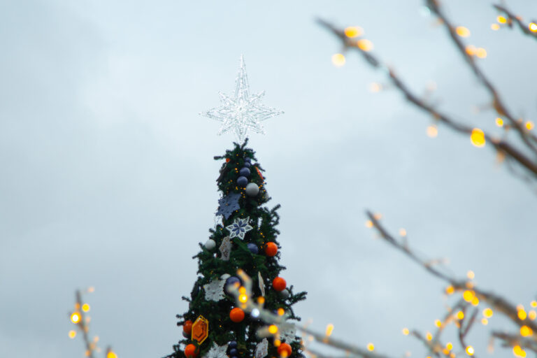    Фото: Общественная Служба Новостей Илья Мартов