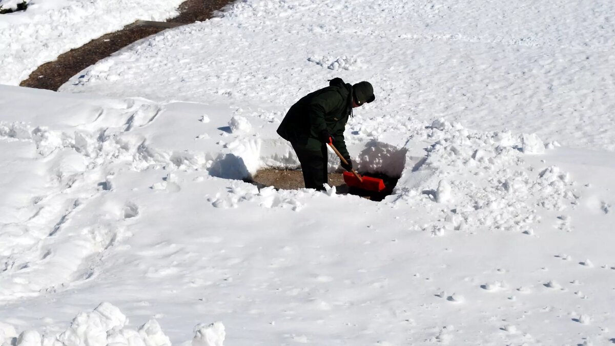     Источник: Photo by form PxHere