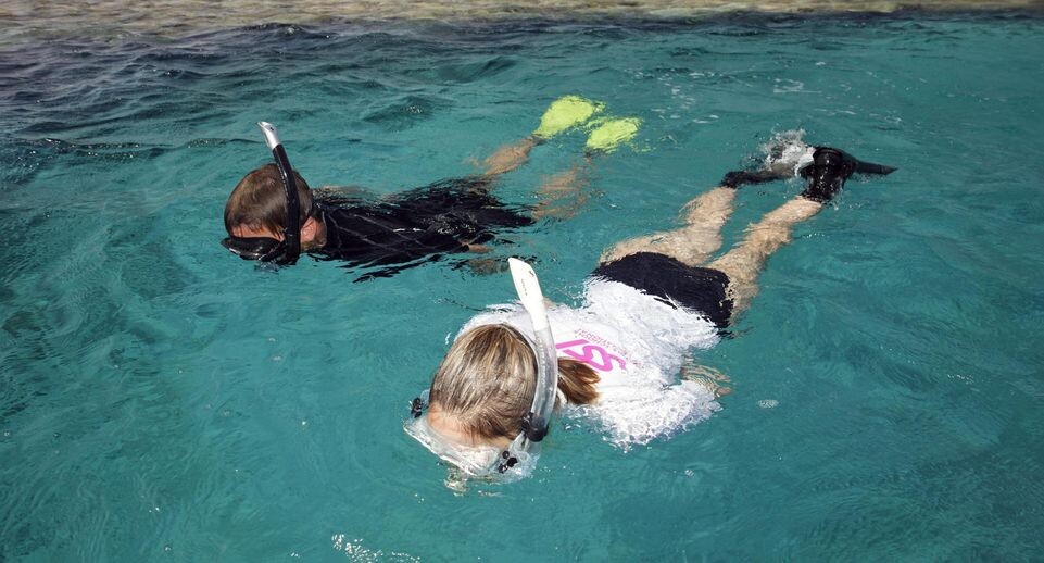    Norbert Probst/imageBROKER.com / Global Look Press