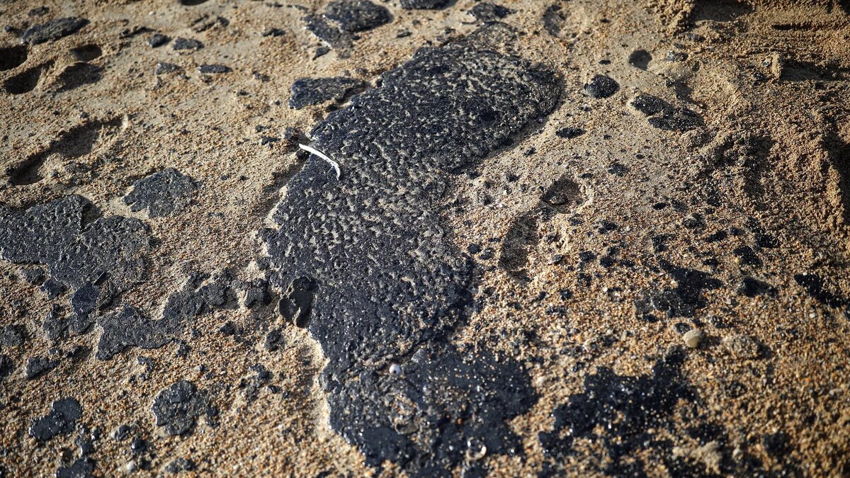 Фото: РИА Новости / Виталий Тимкив