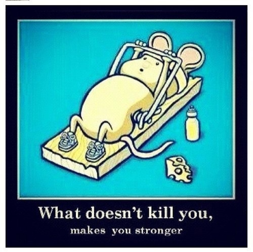 Найдено на просторах Интернета, просто для поднятия настроения.