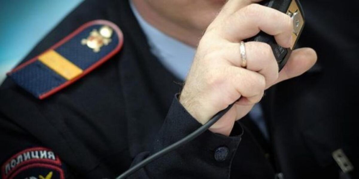 Фото: Николай Хижняк/Кубань 24