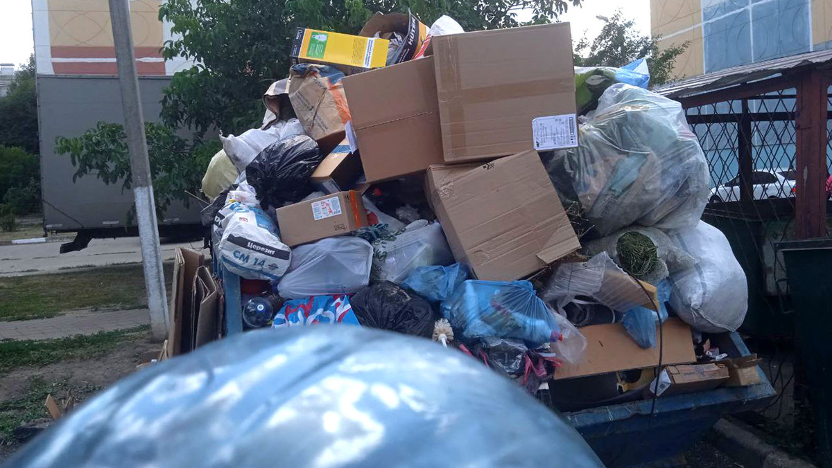    Фото: Сергей Егоров