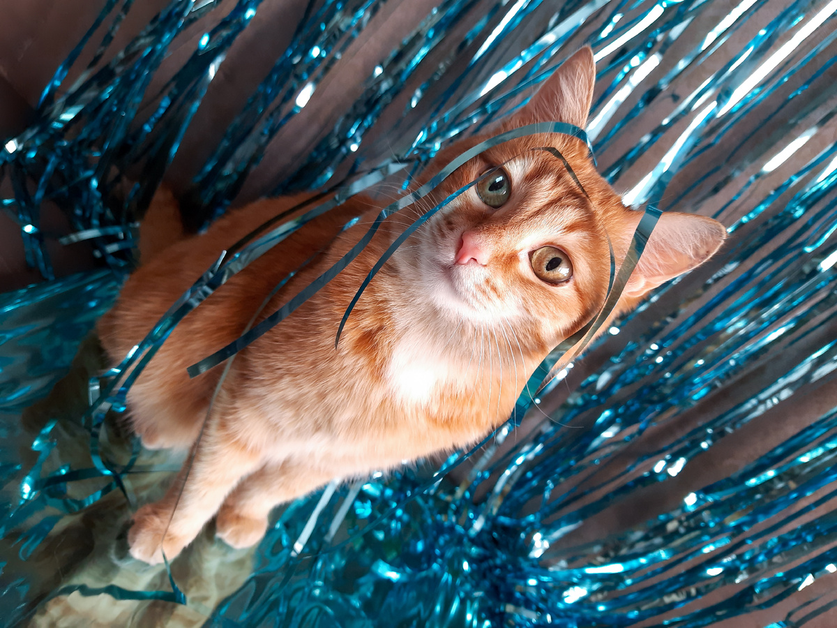 Скажи нет дождику! >>>