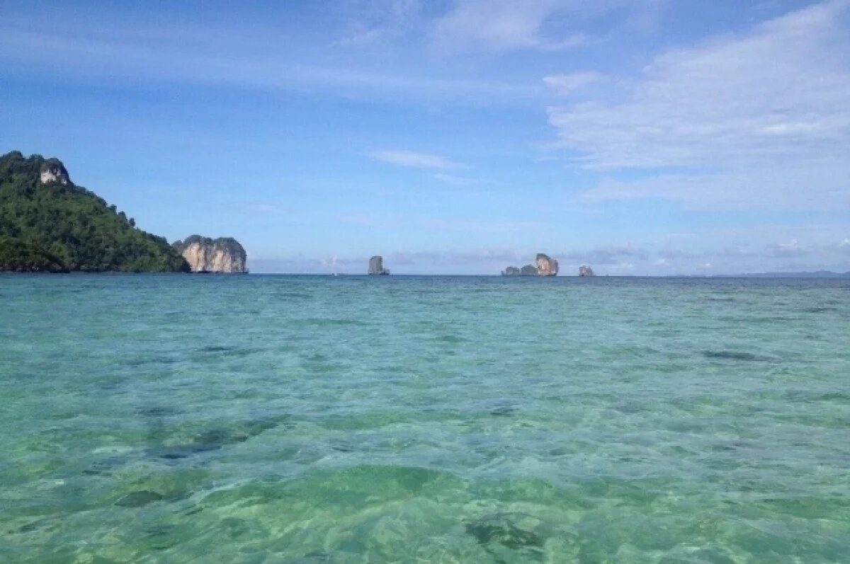    SHOT: неизвестные насекомые атакуют российских туристов в Таиланде