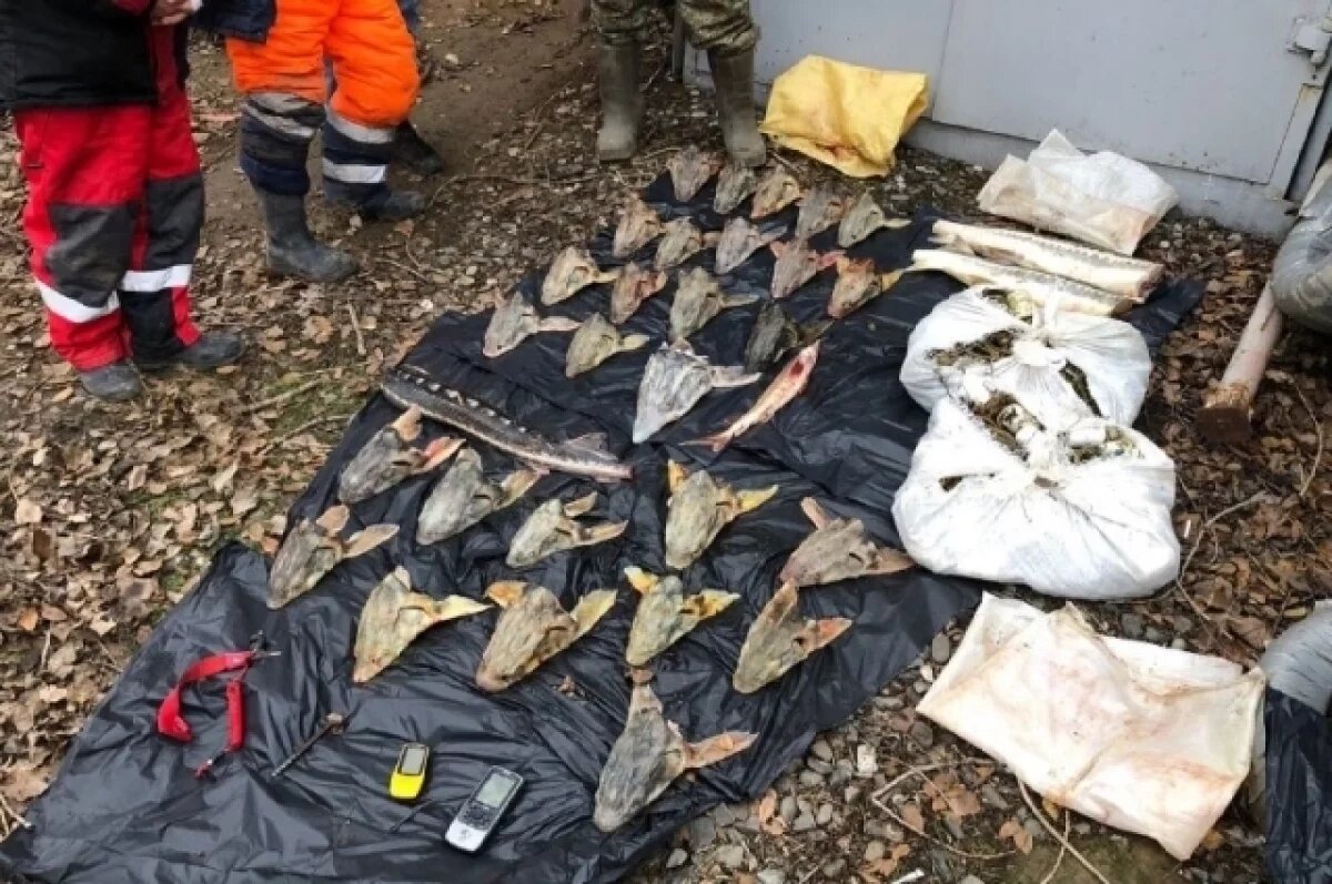    У астраханца обнаружили 7 мешков осетрины