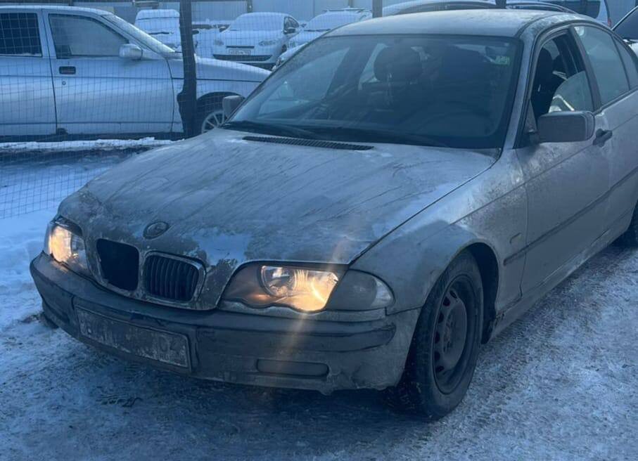 Фото: Эльвира Мацкевич в Telegram