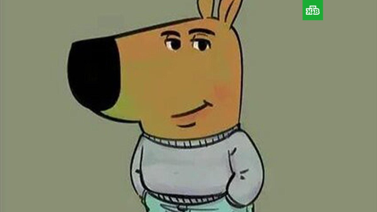    Фото: соцсети