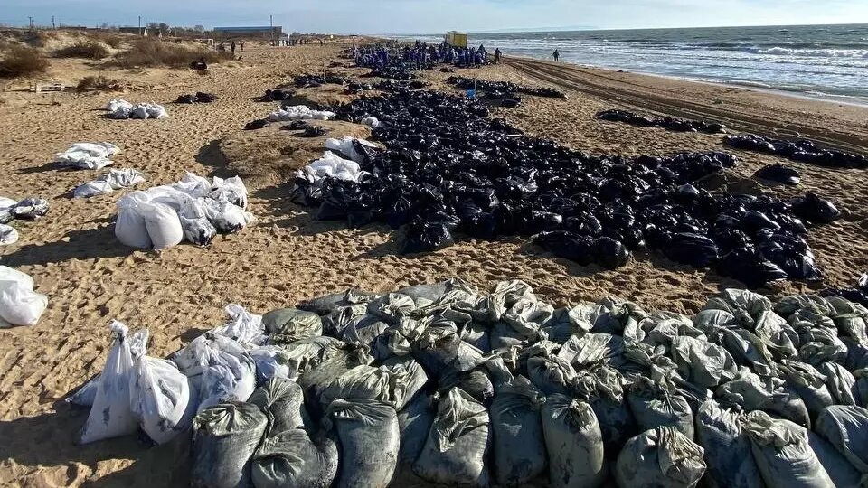     Автор: тг-группа «Анапа. Волонтеры моря» Источник: t.me/volonteri_morya