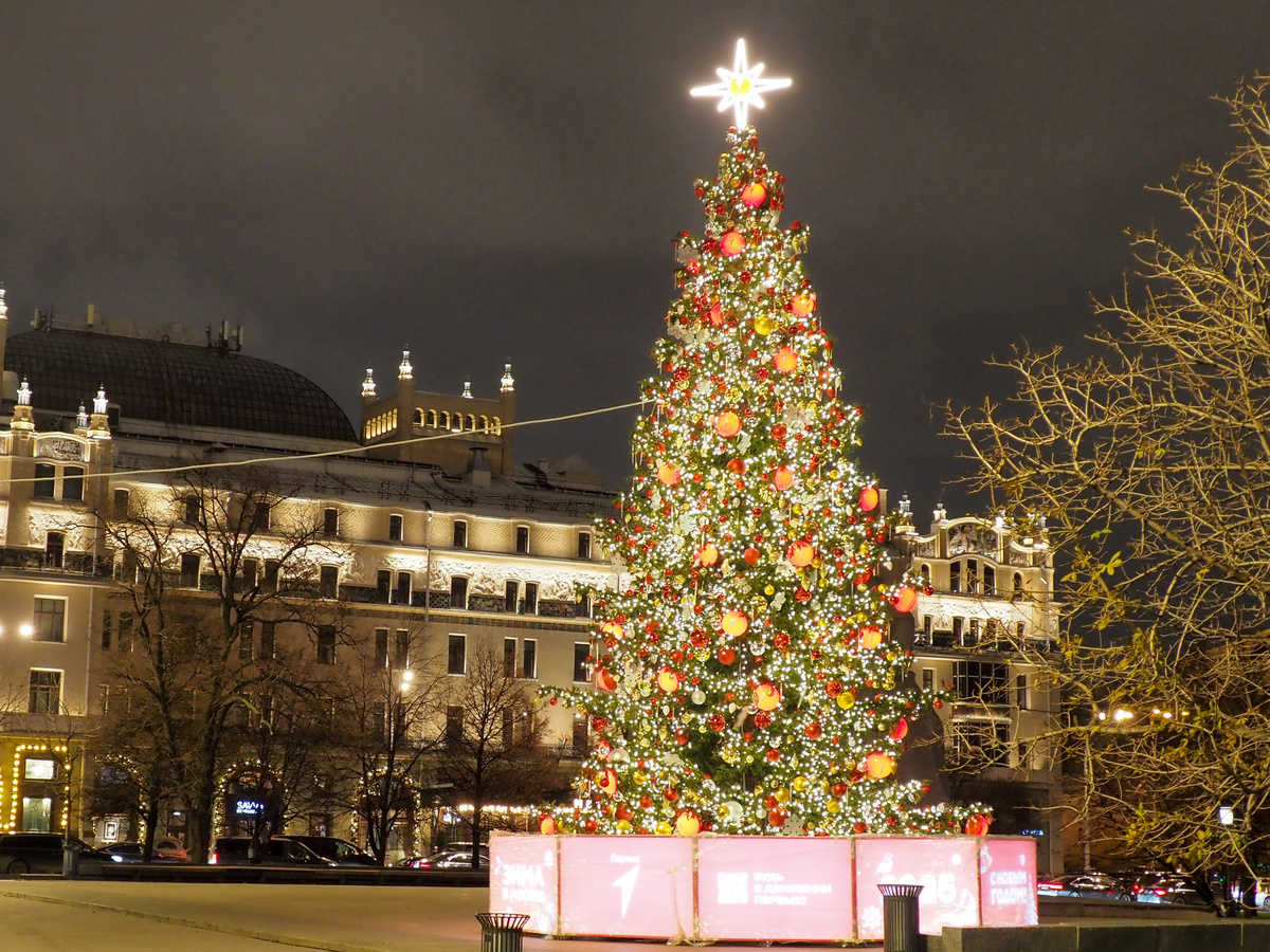 Синоптики сходятся в одном: снег на Новый год в Москве будет.  Фото: Фото: ФедералПресс / Антон Федулов