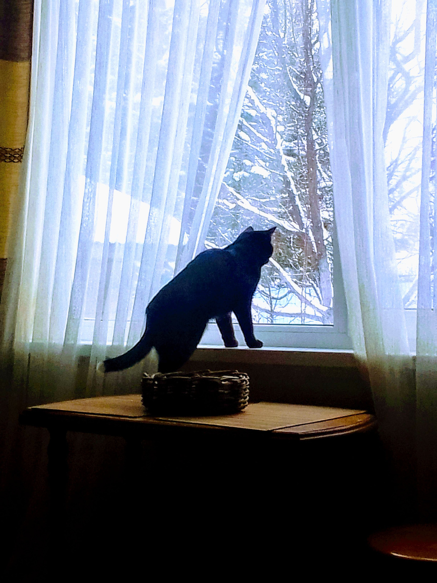 Сорок пересчитывает)