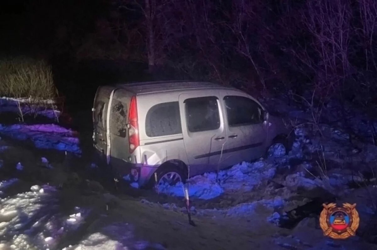   В Тверской области водитель съехал с дороги в кювет, двое пострадали