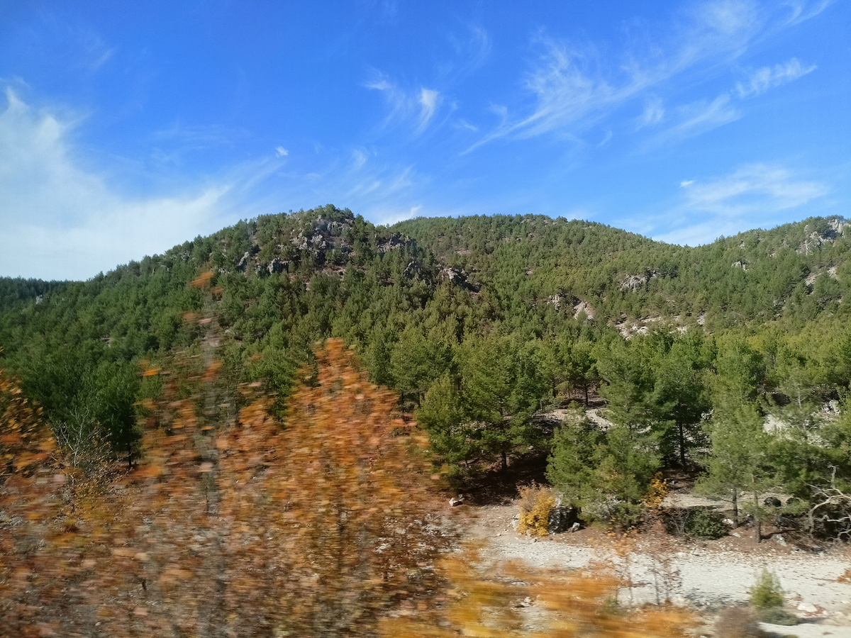 Вид на окрестные холмы из окна автобуса по пути в Фетхие. Листаем вправо, чтобы увидеть всё