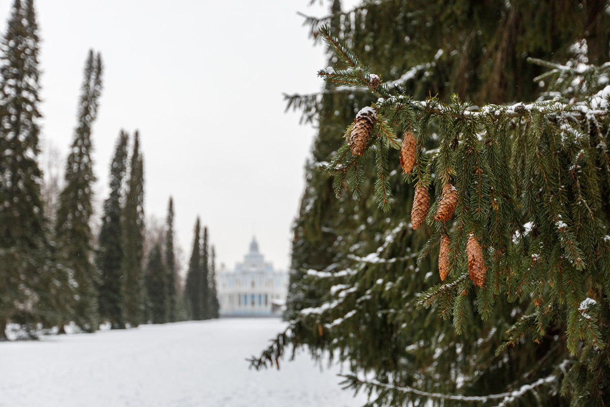 Парк Ораниенбаум. Павильон Катальной горки