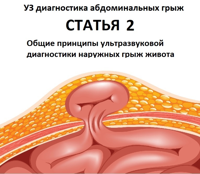 Изображение получено из свободного доступа