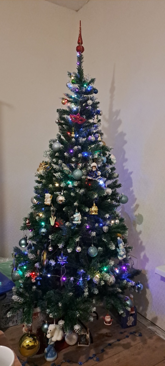 Наша большая ёлка. (Фото автора)