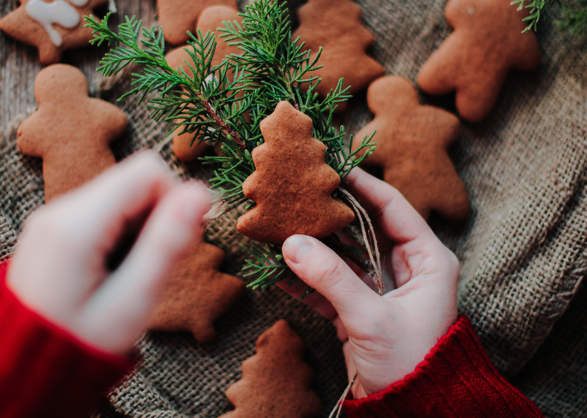 Фото: candidsoul/Pixabay.com