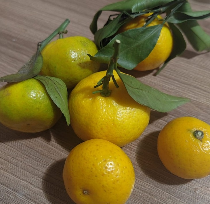 Фото "Родной стороны"