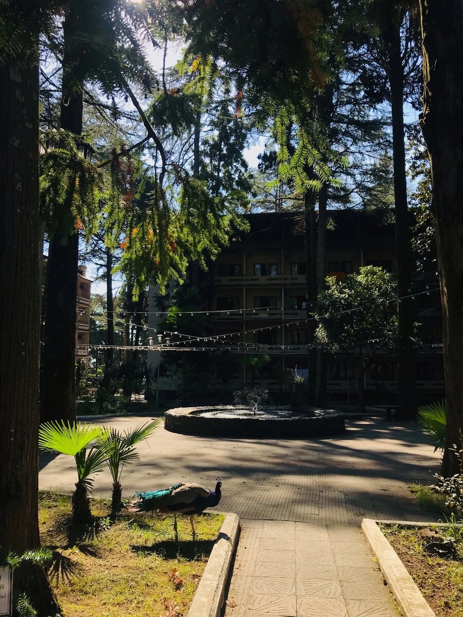 Пансионат Айтар. Фото автора.