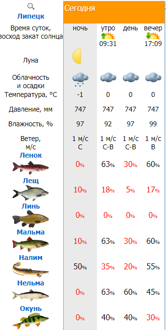 Окунь снизу.