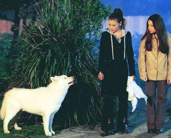 Прю-собака и сёстры.