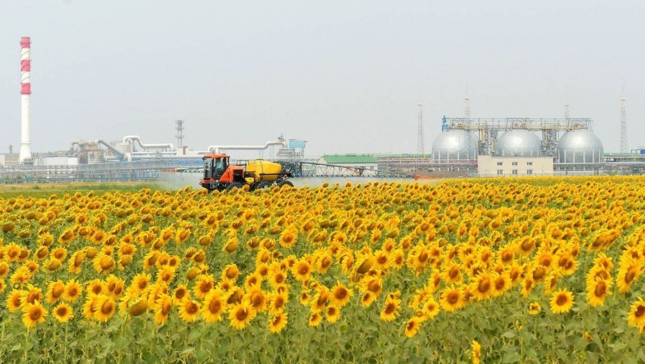    Автор фото: пресс-служба "ФосАгро"