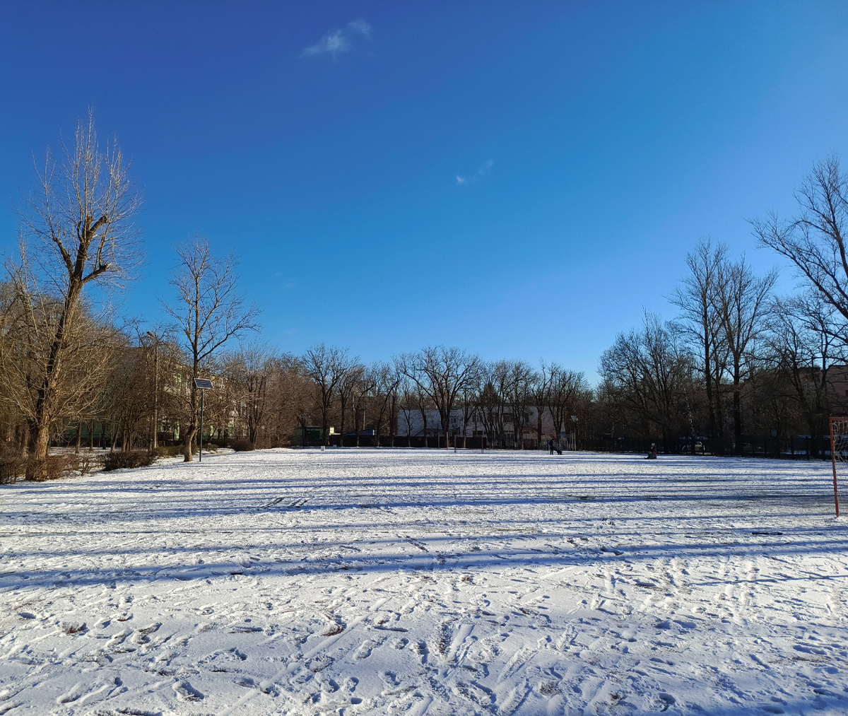 Перед Новым годом очень хочется такую погоду: снег, мороз и солнце ❄️