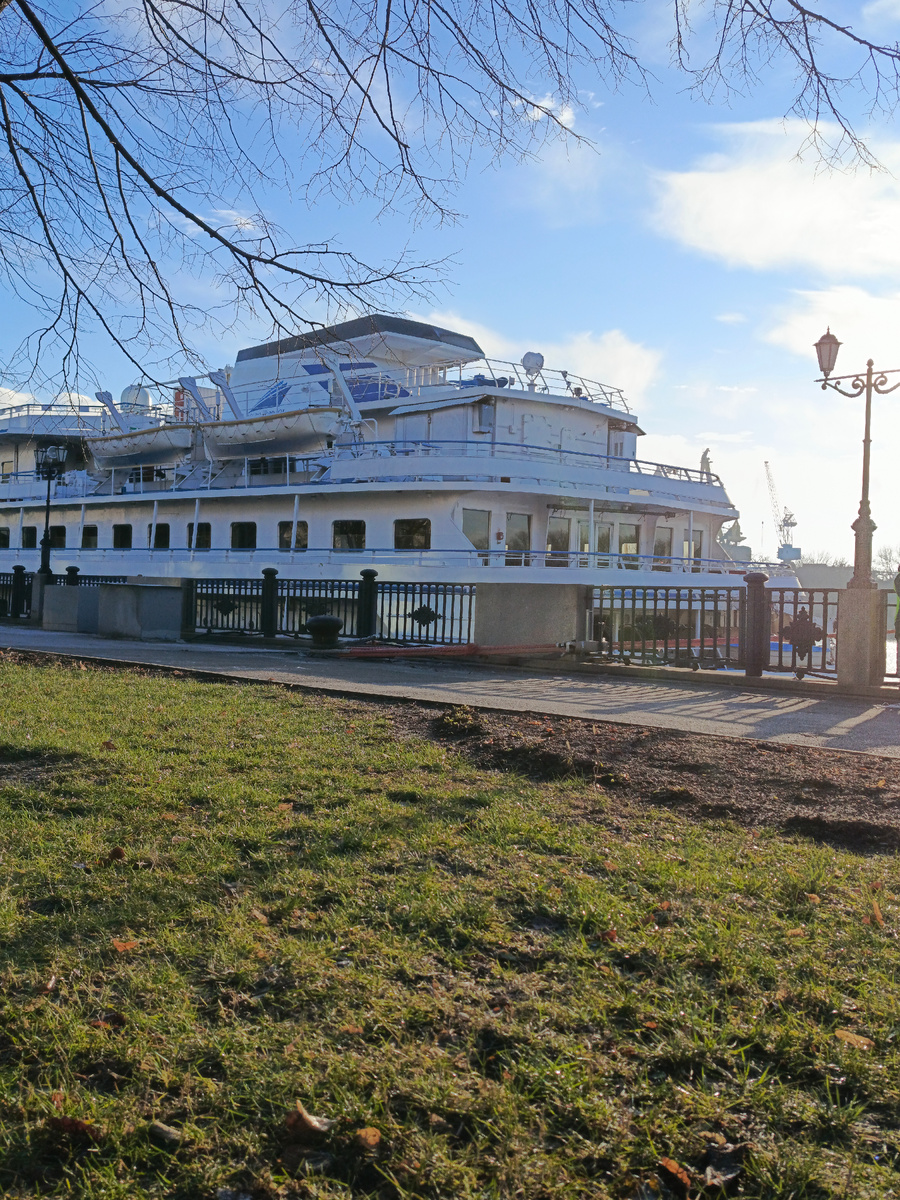Совсем недавно погода была такой: да, без снега, зато было Солнце и Зелёная трава! Тоже не очень по новогоднему, согласна, но если снега нет, то пусть хотя бы так будет!☀🌿