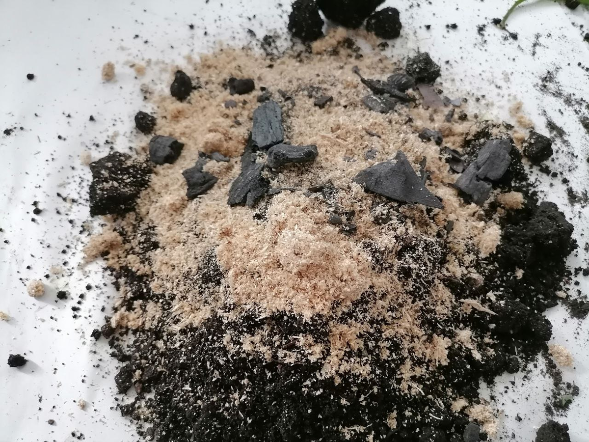 Смешала грунт для алоэ, он должен быть не кислым и рыхлым, фото автора