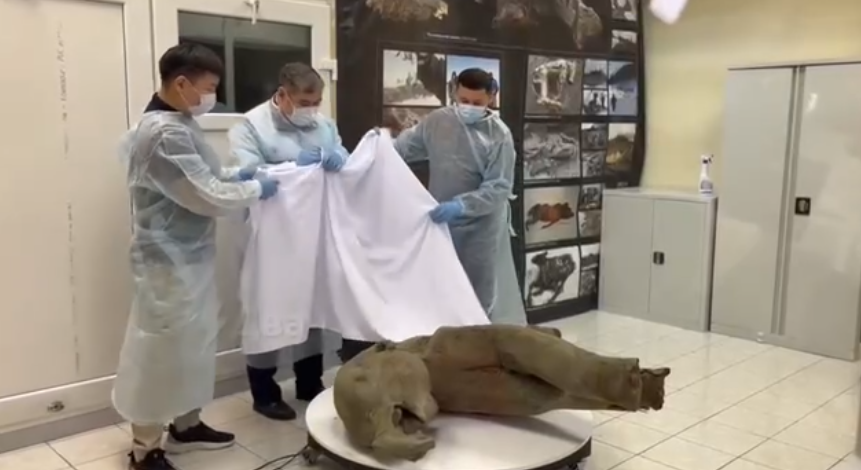    Источник фото: