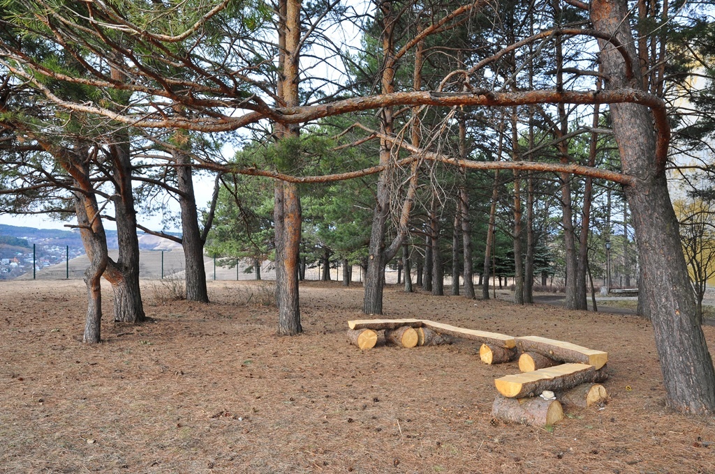Территория санатория "Пикет" в Кисловодске