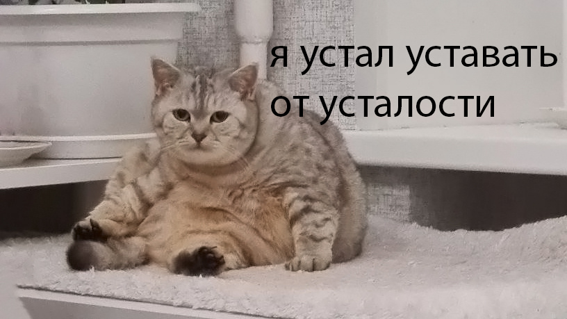 Хроническая усталость