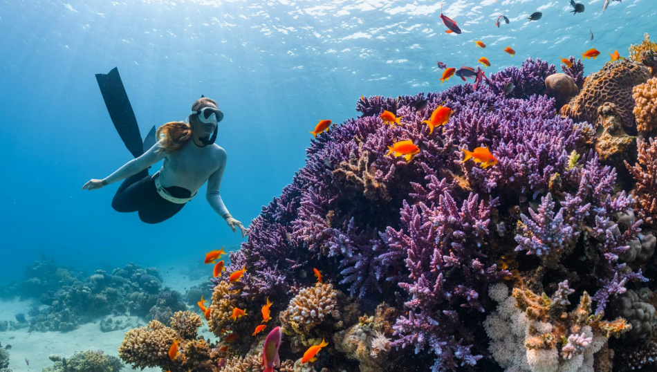 Фото: NEOM, unsplash