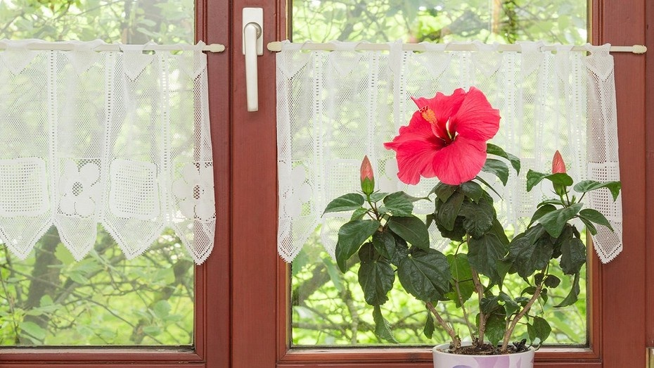 ShutterStock/Fotodom.ru