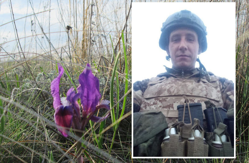    Николай Плотников