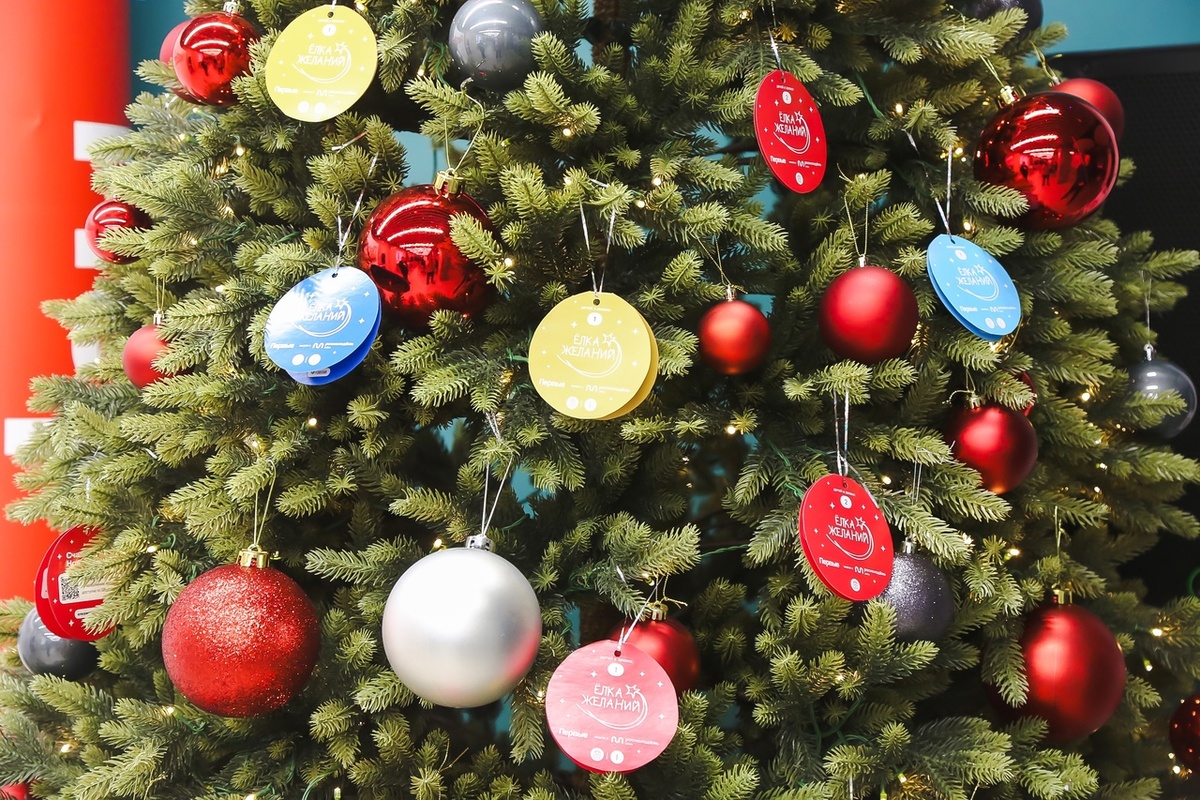 Фото: пресс-служба Общественной палаты Тюменской области